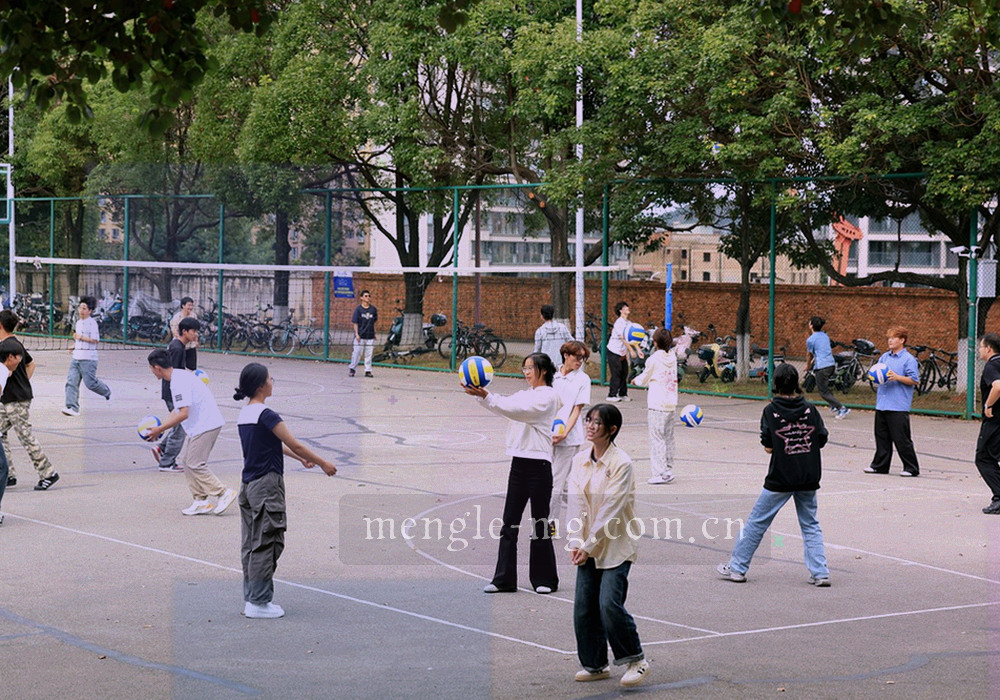 中国内地与澳门两地团队协作的抽象光效与连接线